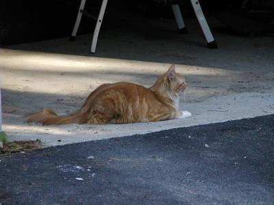 I'll guard the garage now instead of the stairs #2
