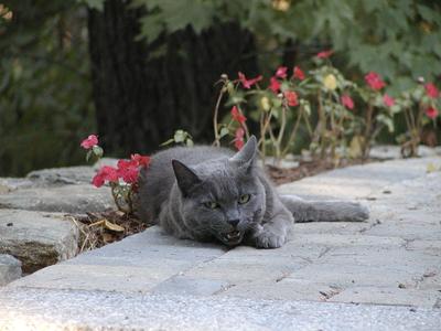 You come up on this walk, and I will break your face