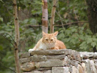 You are disturbing my basking