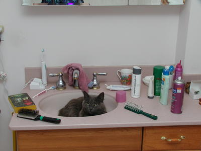 This is going to make shaving somewhat difficult #2