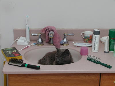 This is going to make shaving somewhat difficult #3