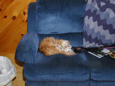 Hey, I was going to sit there!