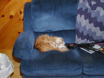 Hey, I was going to sit there! #2