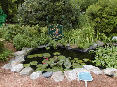 Frog pond