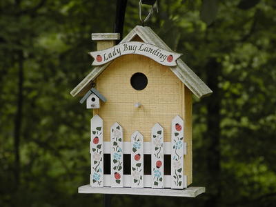 Lady bug house