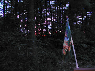 Sunset through the trees