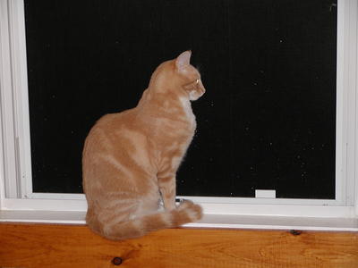 Aerosmith contemplating the universe