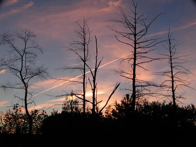 Sunset and contrails #4