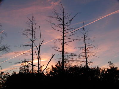 Sunset and contrails #5