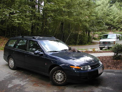 The new hood ornament #2