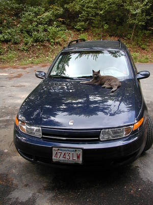 The new hood ornament #3