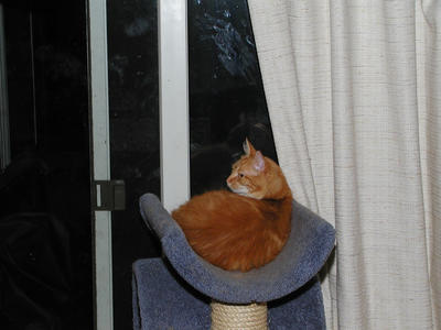 Are you still there?