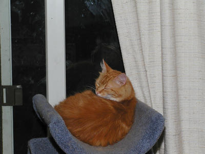 Hey, I'm trying to get some sleep!