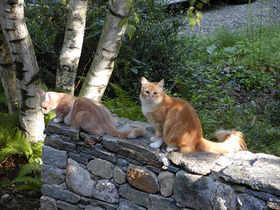 Aerosmith and America outside