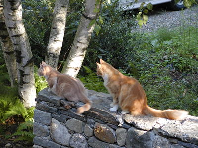 Aerosmith and America outside #2