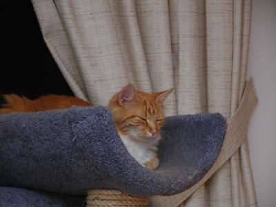 America trying to get some sleep