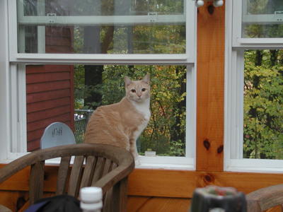 What another picture?