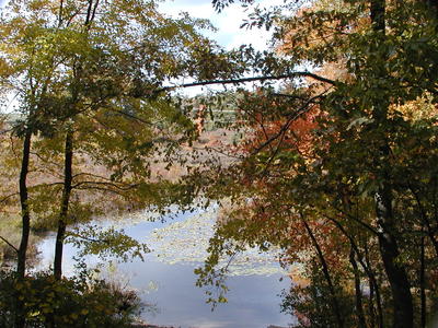 Spectacle pond in fall