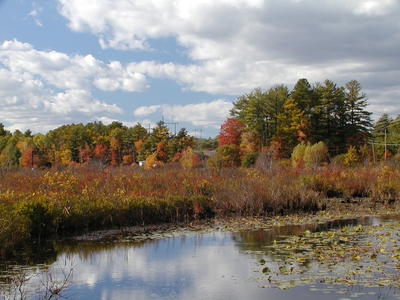 Spectacle pond in fall #7