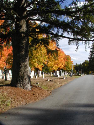Cemetery in fall #5
