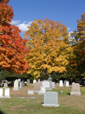Cemetery in fall #10