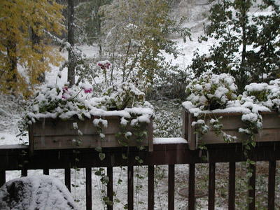 First snow of the year