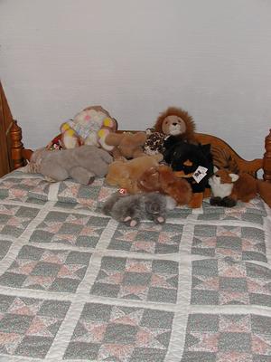 Lizzie's stuffed animals