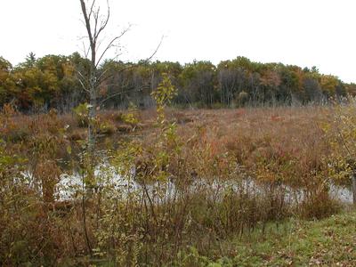 Bennetts Brook in fall #2