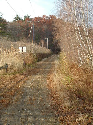 Fall near Bennets Brook