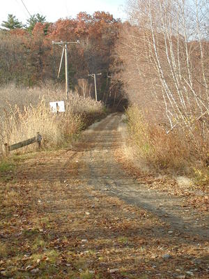 Fall at Bennets Brook #2