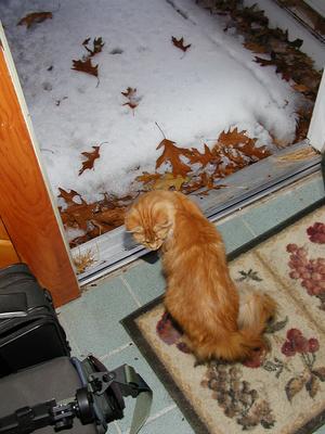 Maybe I won't go out after all