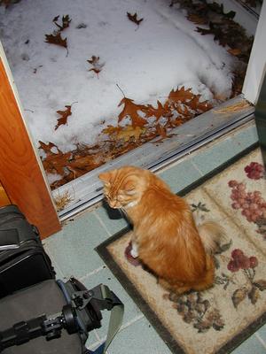 Maybe I won't go out after all #2