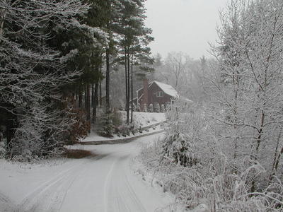 Winter on Sandas Point road #2
