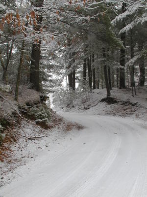 Winter on Sandas Point road #3