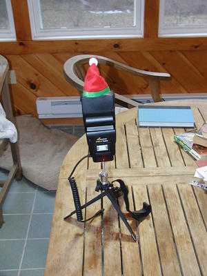 Silly picture of my flash