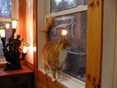 Hmmm, outside is nice