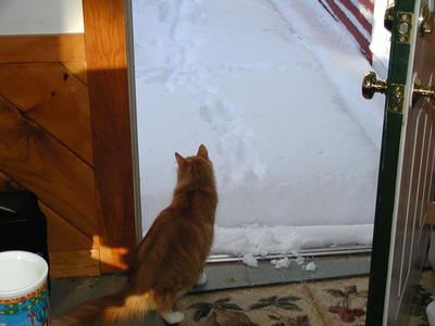 America pondering the snow
