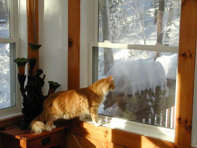 America pondering the snow #3