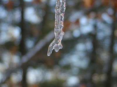 Icicle