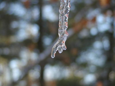 Icicle #5