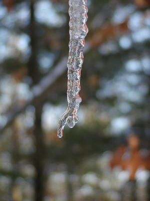 Icicle #7