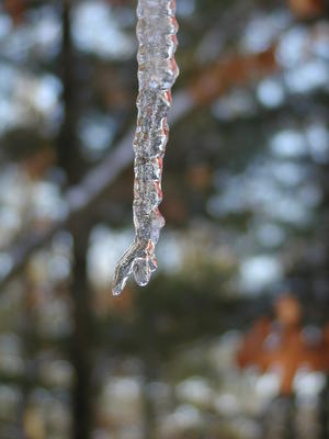 Icicle #8