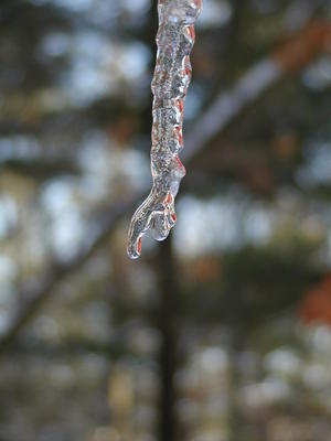 Icicle #10