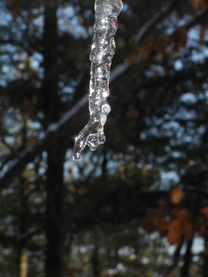 Icicle #11