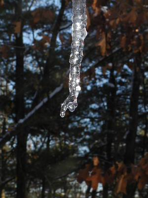 Icicle #12
