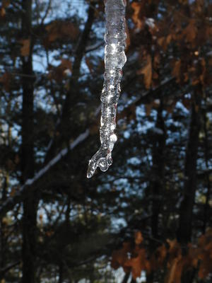 Icicle #13