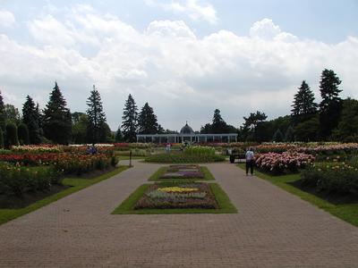 Botanical garden picture #5