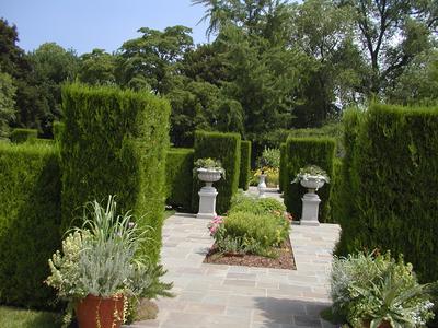 Botanical garden picture #7