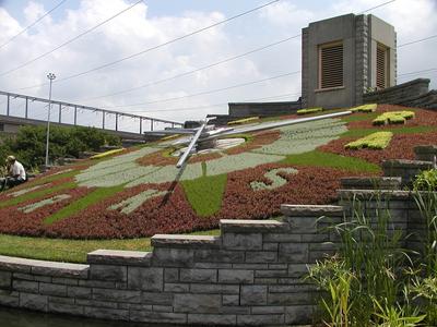 Floral clock