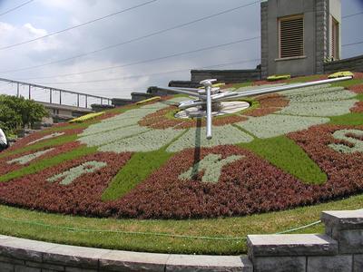 Floral clock #4